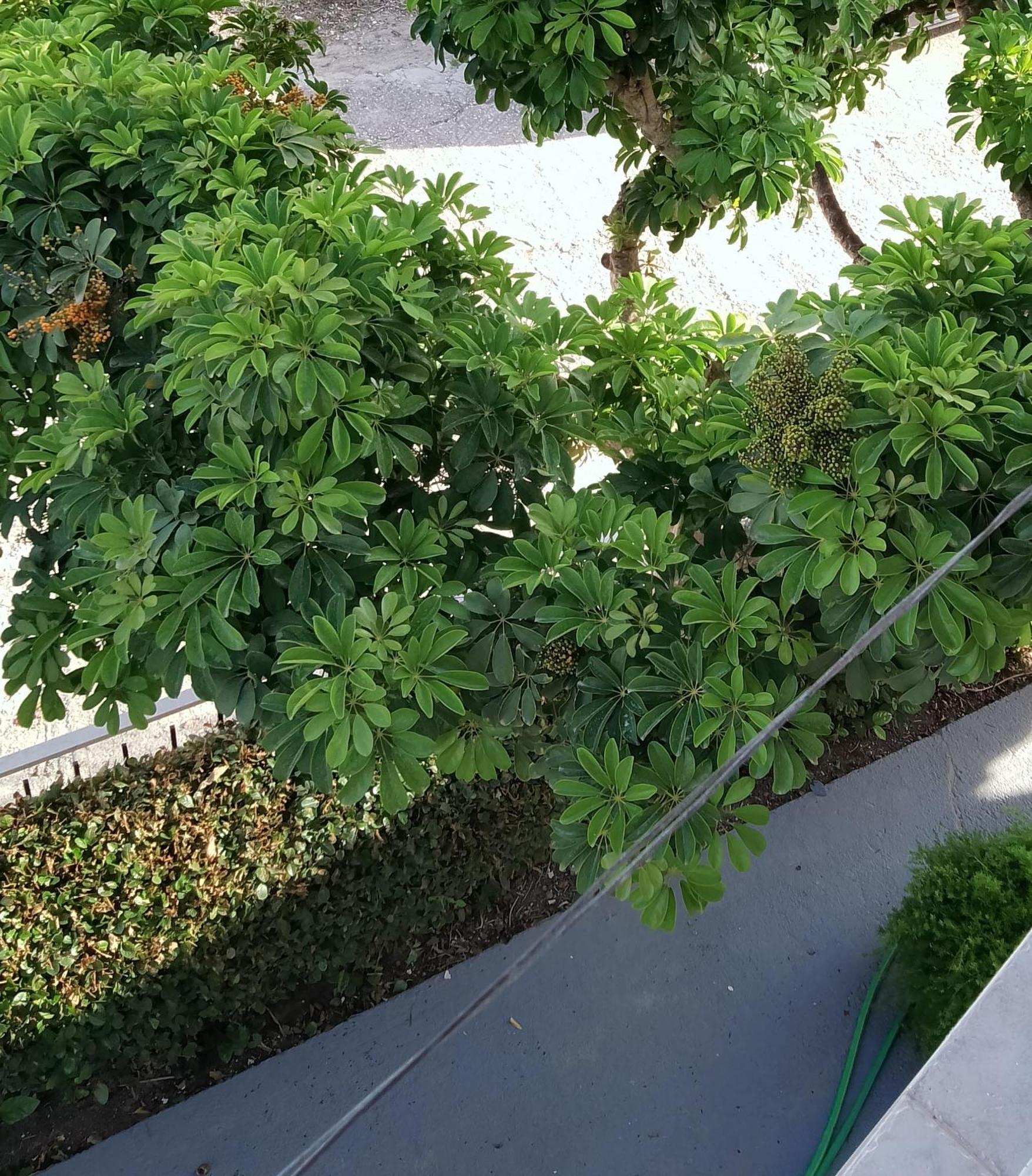 Vicky'S Guesthouse 卡沃斯 外观 照片